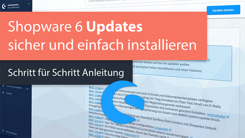 Shopware 6 Update Tutorial / Anleitung